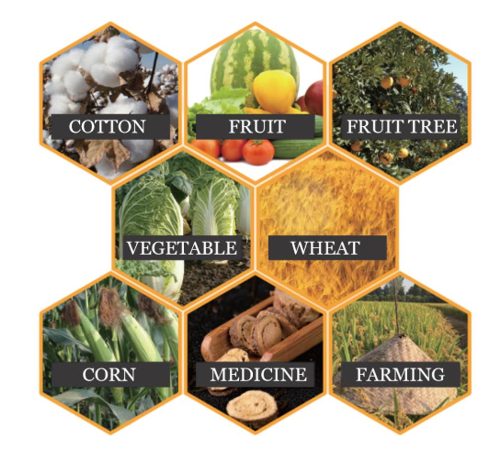 Main features of GREENFOR mineral potassium fulvate fertilizer